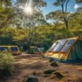 L&rsquo;utilisation de l&rsquo;énergie solaire en camping : un guide complet