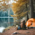 Les meilleurs accessoires pour optimiser votre expérience de pêche en camping