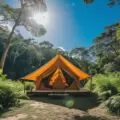 Offres spéciales camping : la clé pour des vacances économiques